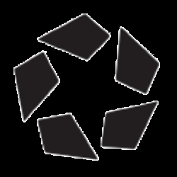 CoStar Group, Inc. logo