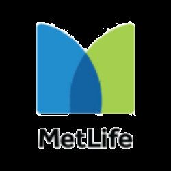 MET logo