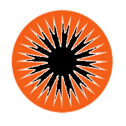 Public Service Enterprise Group Incorporated logo